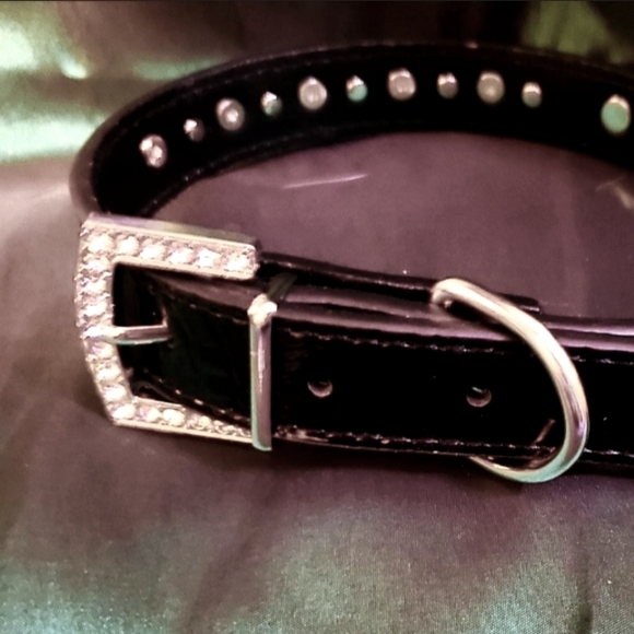 Skull dog collar - New With tags ❤️ - Picture 3 of 6